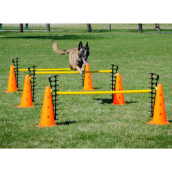FitPAWS agilitysæt