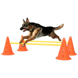 forhindringsbanesæt til hunde orange og gul