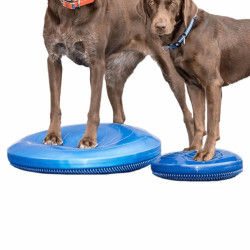 FitPAWS balancebræt til kæledyr 36 cm blå