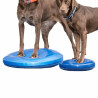 FitPAWS balancebræt til kæledyr 36 cm blå