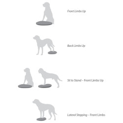 FitPAWS balancebræt til kæledyr 36 cm blå