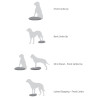 FitPAWS balancebræt til kæledyr 36 cm blå