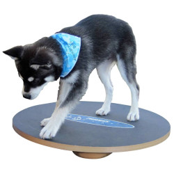 FitPAWS vippebræt 50 cm sort