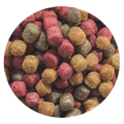 Ubbink fiskefoder Fish Mix Universal Menu 6 mm 5,4 l